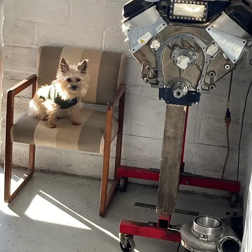 FSR Auto Repair & Smog Check Mascot 🐶